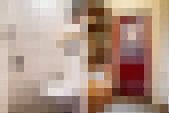 Achter de Hoven 233 Leeuwarden thumbnail 8