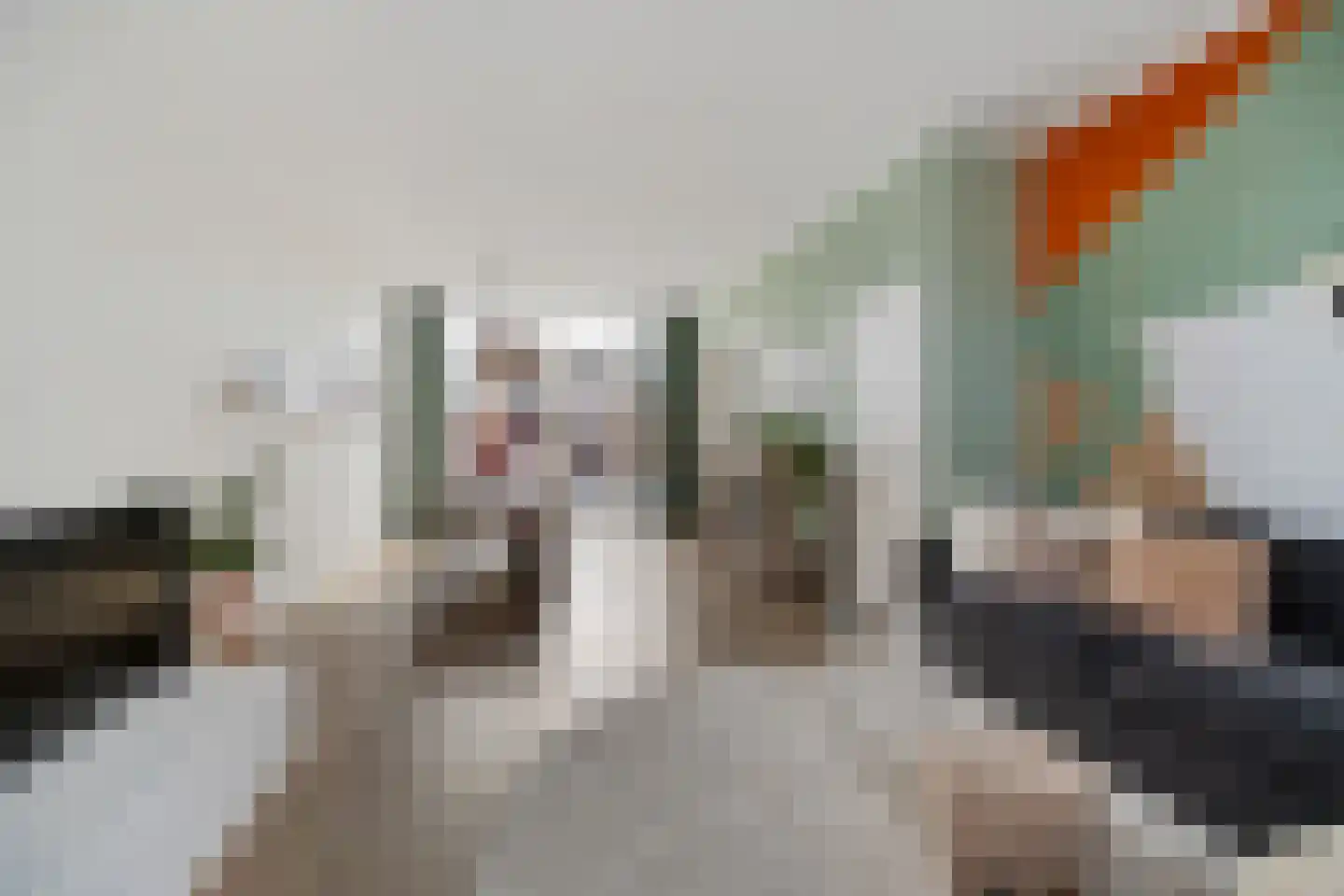 Achter de Hoven 238 Leeuwarden thumbnail 15