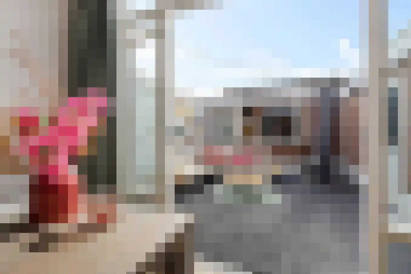 Achter de Hoven 238 Leeuwarden thumbnail 18