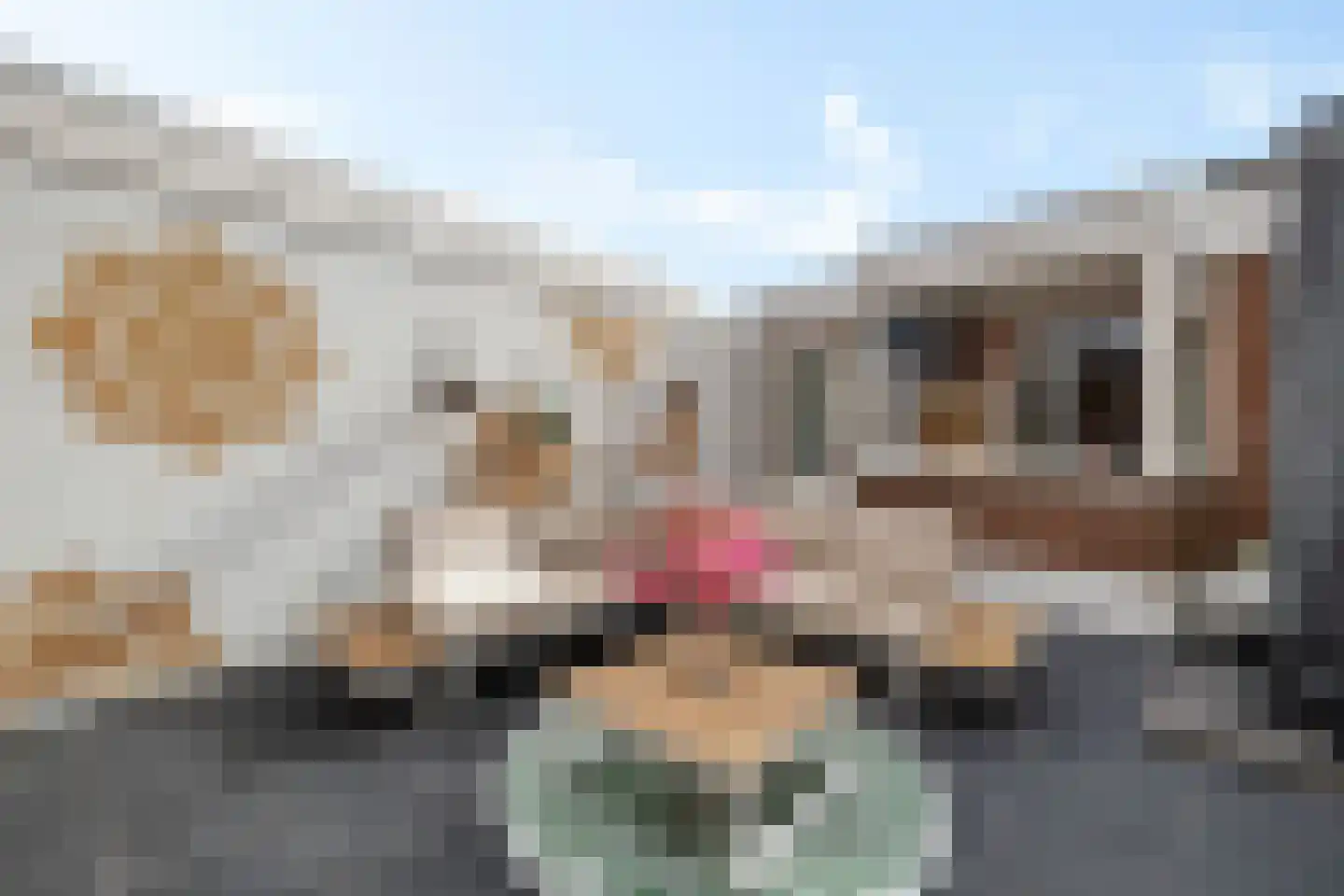 Achter de Hoven 238 Leeuwarden thumbnail 19