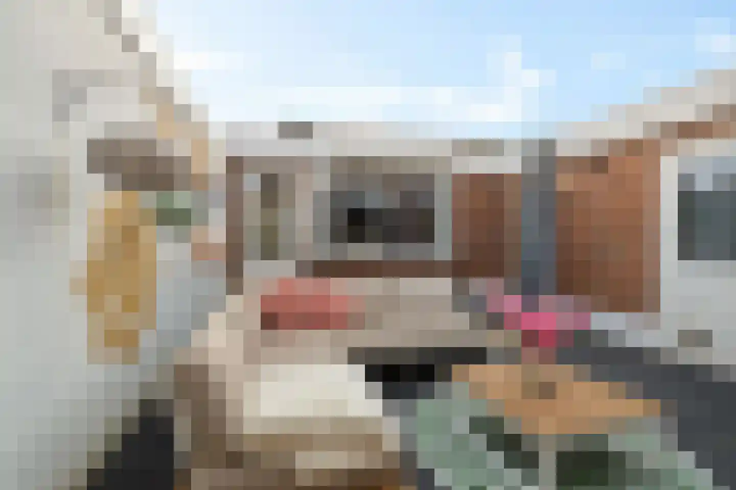 Achter de Hoven 238 Leeuwarden thumbnail 20