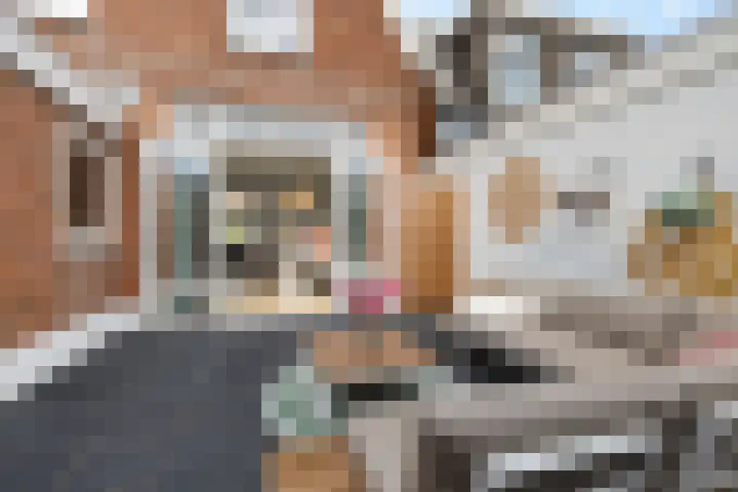 Achter de Hoven 238 Leeuwarden thumbnail 21