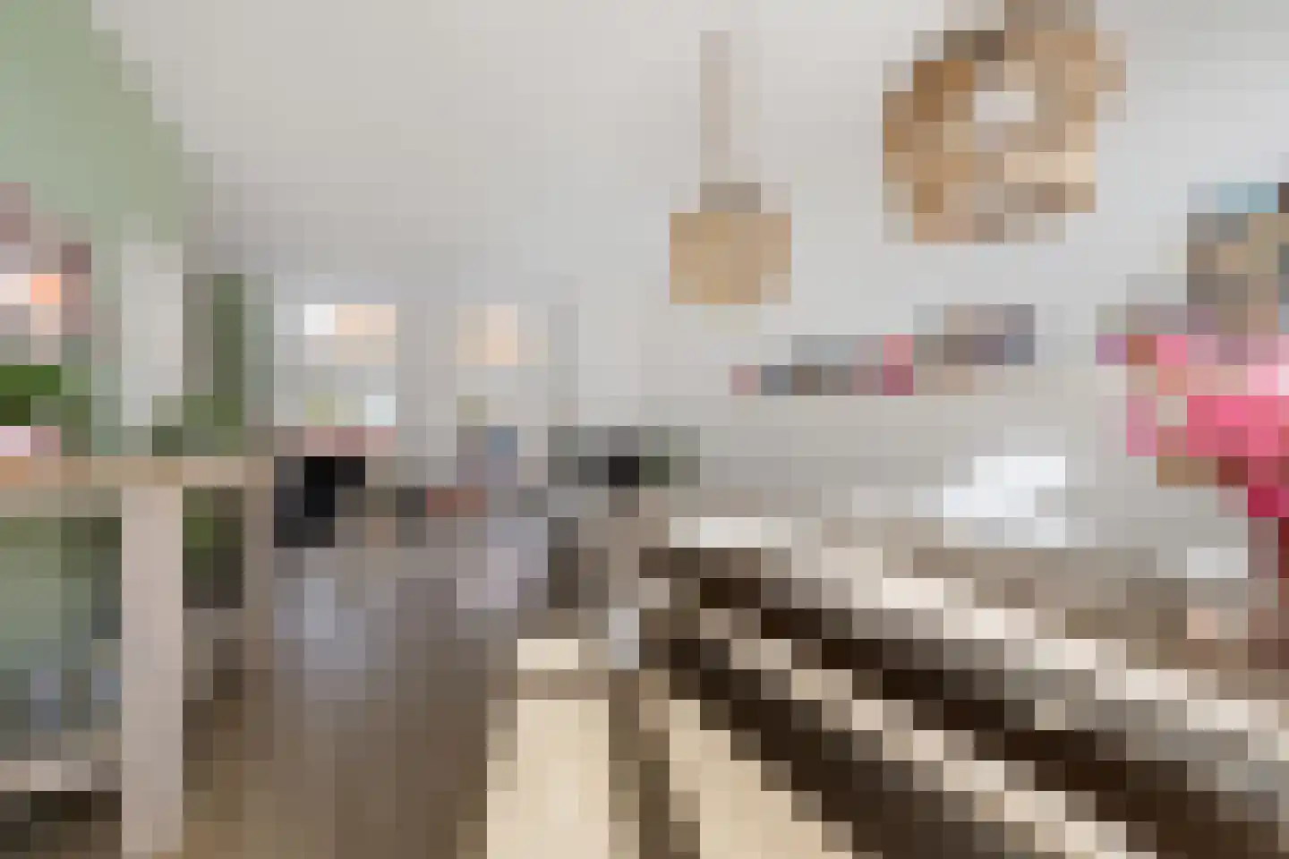 Achter de Hoven 238 Leeuwarden thumbnail 24