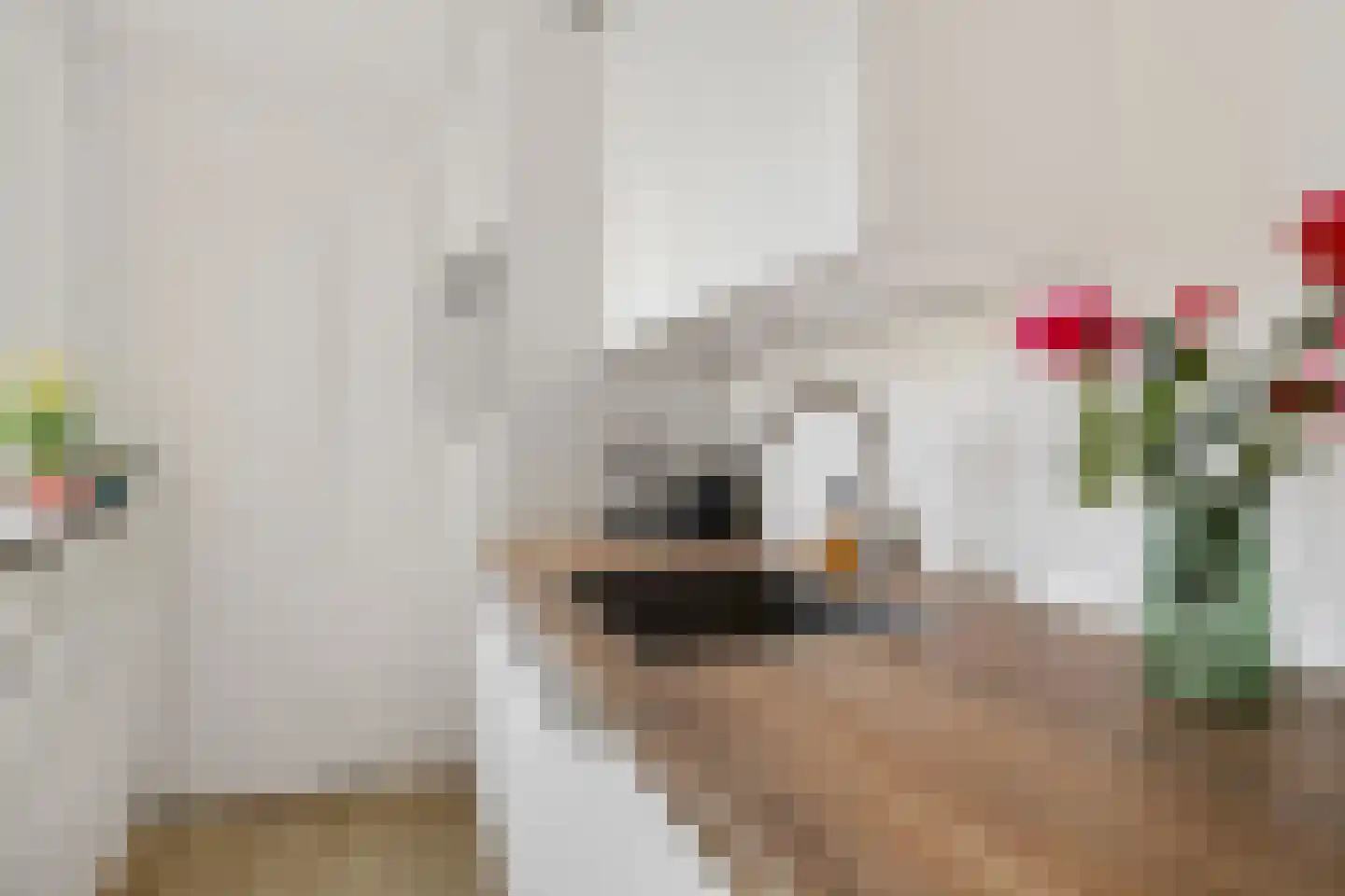 Achter de Hoven 238 Leeuwarden thumbnail 28