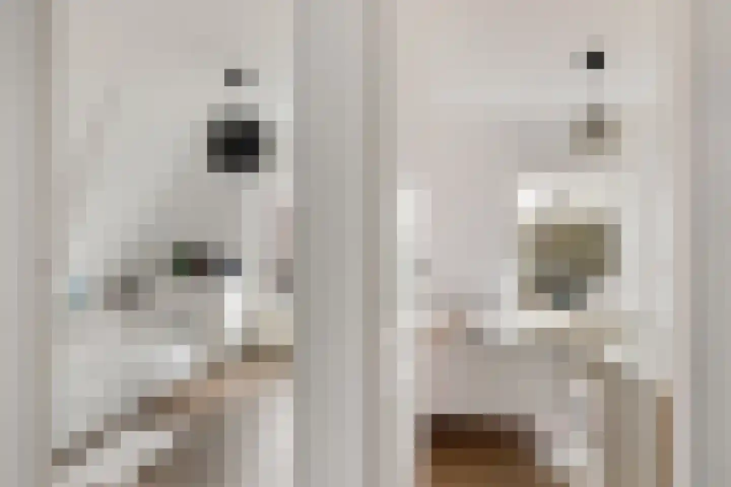Achter de Hoven 238 Leeuwarden thumbnail 37