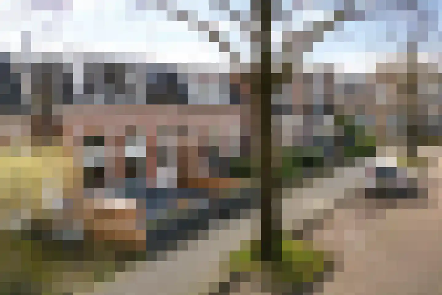 Achter de Hoven 238 Leeuwarden thumbnail 47