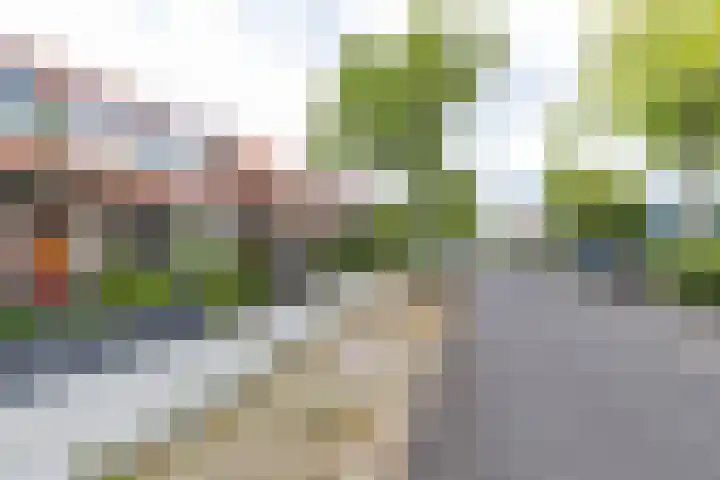 Achter de Hoven 247 Leeuwarden thumbnail 10