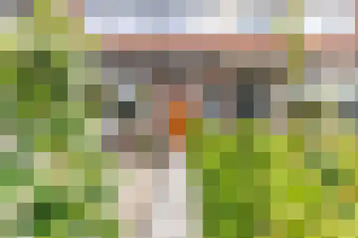 Achter de Hoven 247 Leeuwarden thumbnail 11