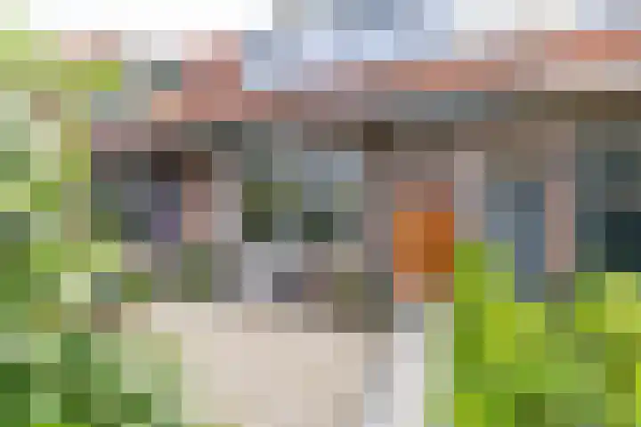 Achter de Hoven 247 Leeuwarden thumbnail 12
