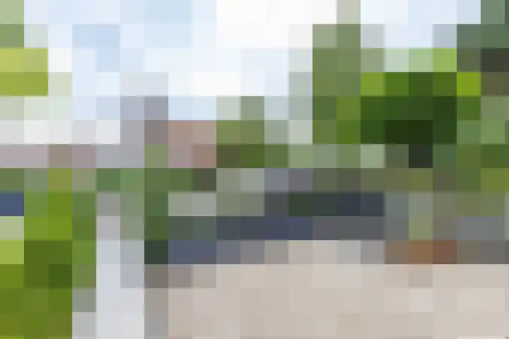 Achter de Hoven 247 Leeuwarden thumbnail 13