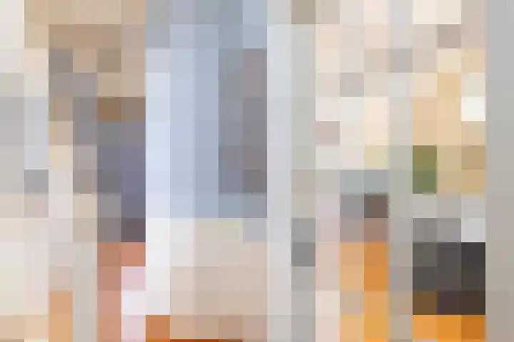 Achter de Hoven 247 Leeuwarden thumbnail 17