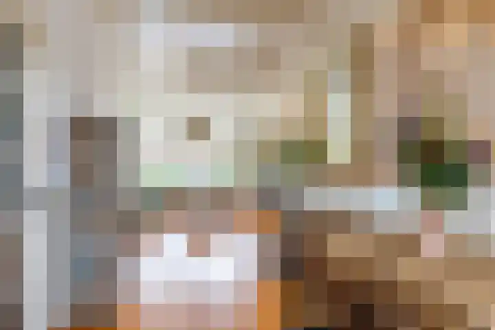 Achter de Hoven 247 Leeuwarden thumbnail 18