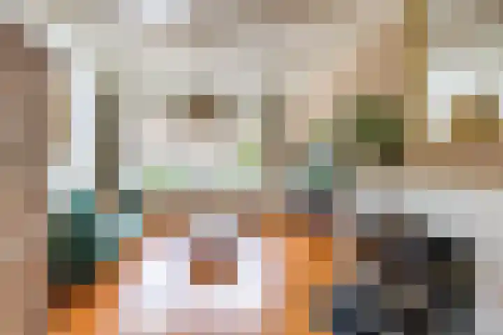 Achter de Hoven 247 Leeuwarden thumbnail 19