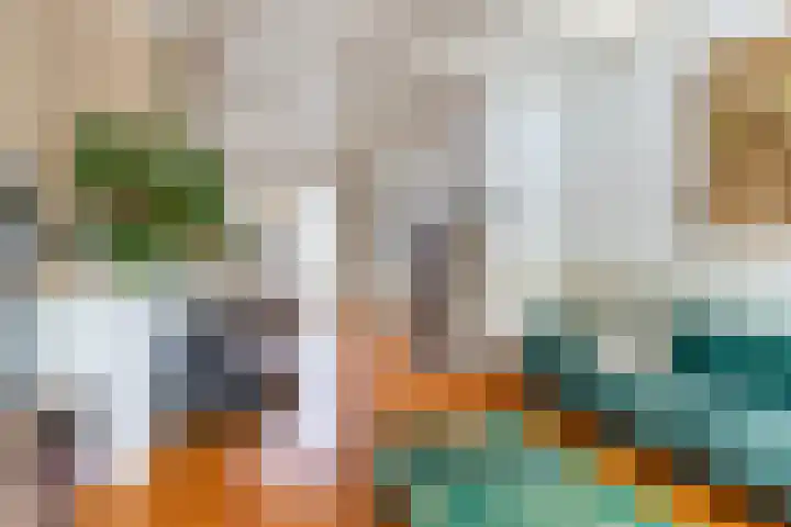 Achter de Hoven 247 Leeuwarden thumbnail 22