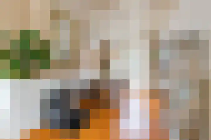 Achter de Hoven 247 Leeuwarden thumbnail 23