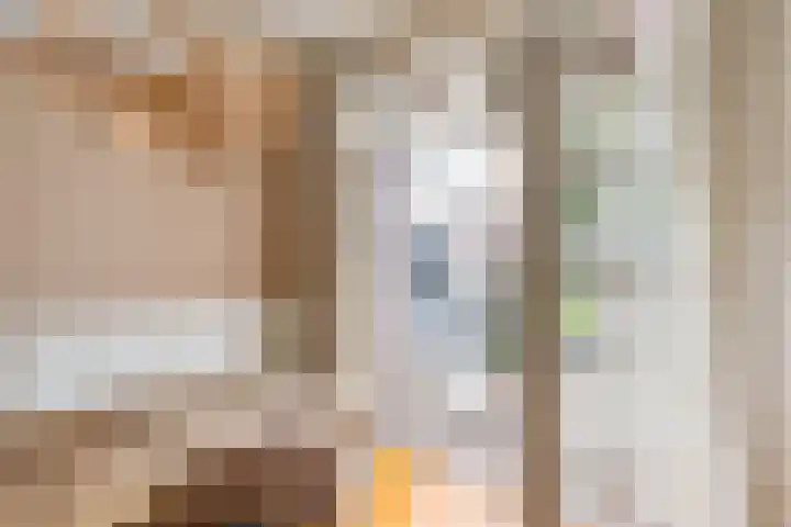 Achter de Hoven 247 Leeuwarden thumbnail 27