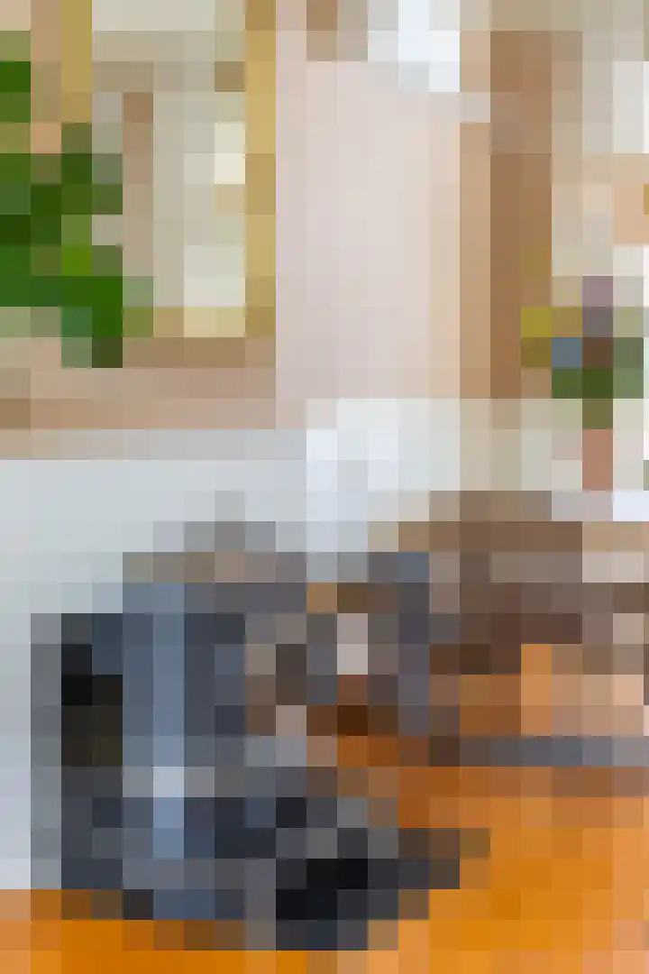 Achter de Hoven 247 Leeuwarden thumbnail 32