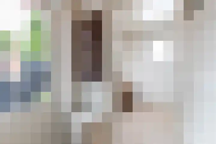 Achter de Hoven 247 Leeuwarden thumbnail 38
