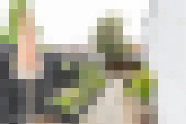 Achter de Hoven 247 Leeuwarden thumbnail 43