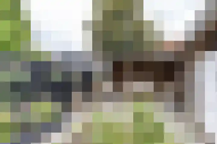Achter de Hoven 247 Leeuwarden thumbnail 45