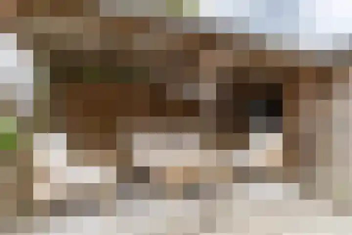 Achter de Hoven 247 Leeuwarden thumbnail 46