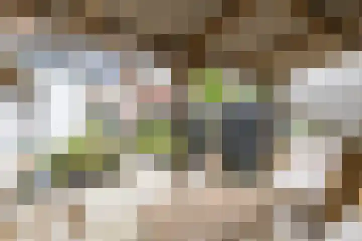 Achter de Hoven 247 Leeuwarden thumbnail 47