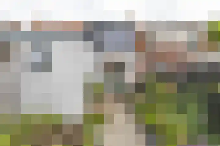 Achter de Hoven 247 Leeuwarden thumbnail 48