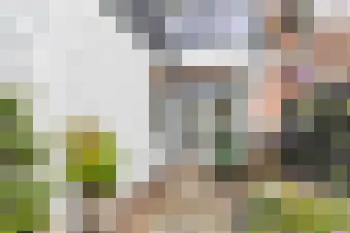 Achter de Hoven 247 Leeuwarden thumbnail 49