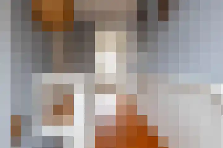 Achter de Hoven 247 Leeuwarden thumbnail 50