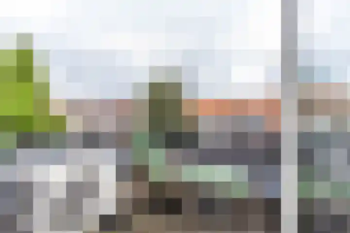 Achter de Hoven 247 Leeuwarden thumbnail 61