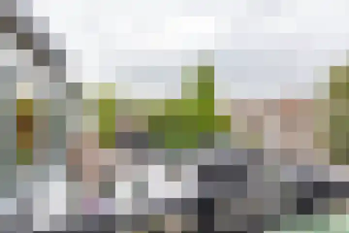 Achter de Hoven 247 Leeuwarden thumbnail 62