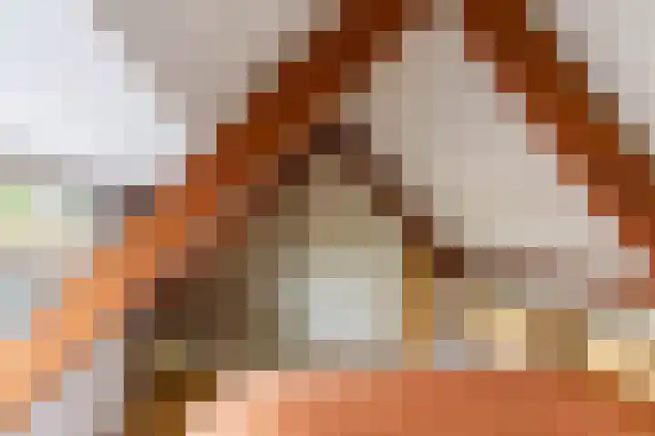 Achter de Hoven 247 Leeuwarden thumbnail 67