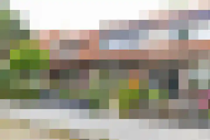 Achter de Hoven 247 Leeuwarden thumbnail 7