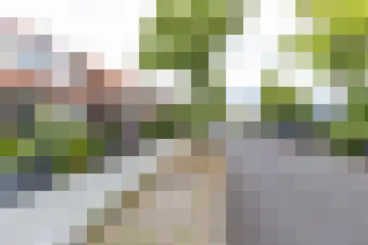 Achter de Hoven 247 Leeuwarden thumbnail 8