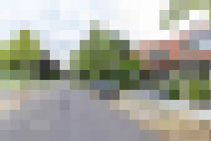 Achter de Hoven 247 Leeuwarden thumbnail 9