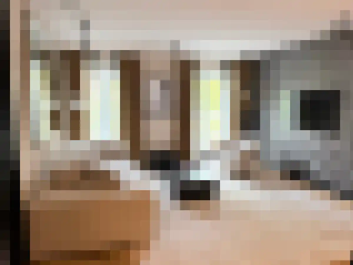 Achter de Hoven 25 Leeuwarden thumbnail 4
