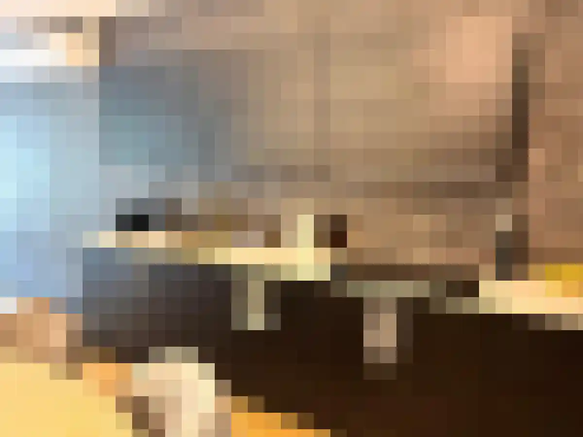 Achter de Hoven 25 Leeuwarden thumbnail 5
