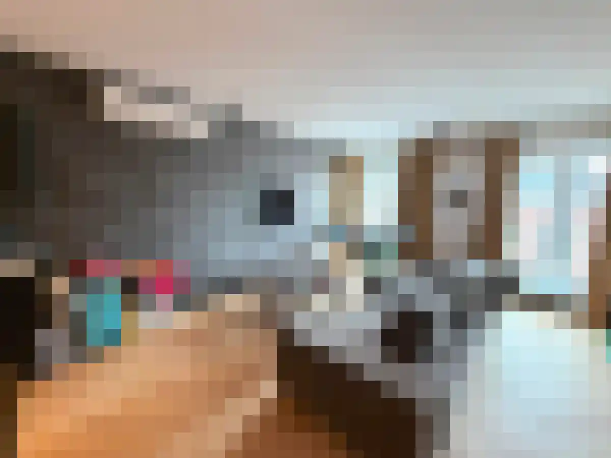 Achter de Hoven 25 Leeuwarden thumbnail 5