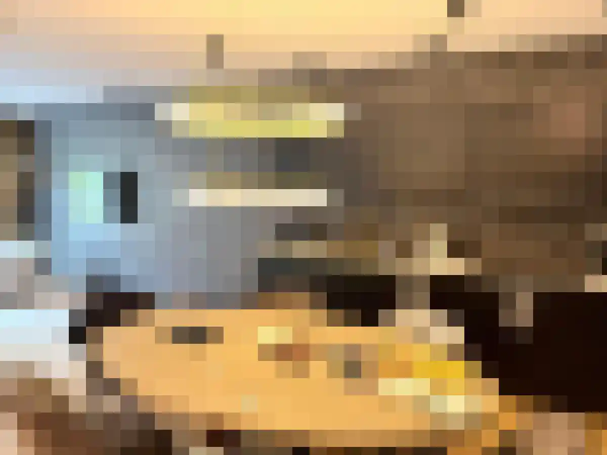 Achter de Hoven 25 Leeuwarden thumbnail 6
