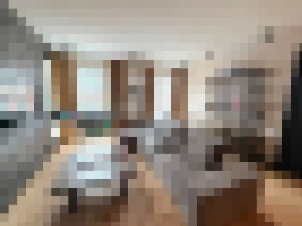 Achter de Hoven 25 Leeuwarden thumbnail 6