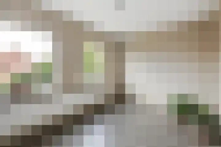 Achter de Hoven 25 Wijhe thumbnail 13