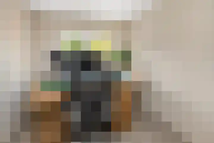 Achter de Hoven 25 Wijhe thumbnail 14