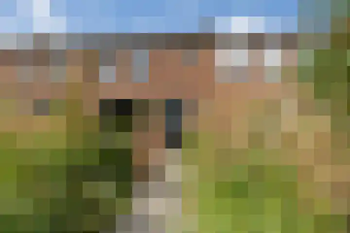 Achter de Hoven 25 Wijhe thumbnail 16