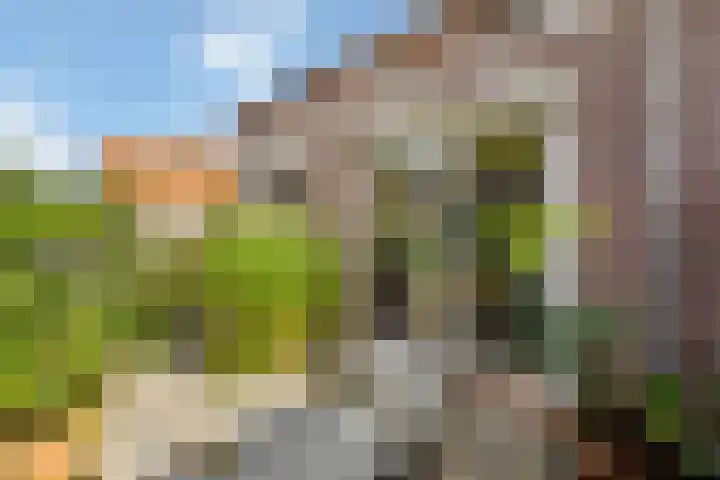 Achter de Hoven 25 Wijhe thumbnail 17