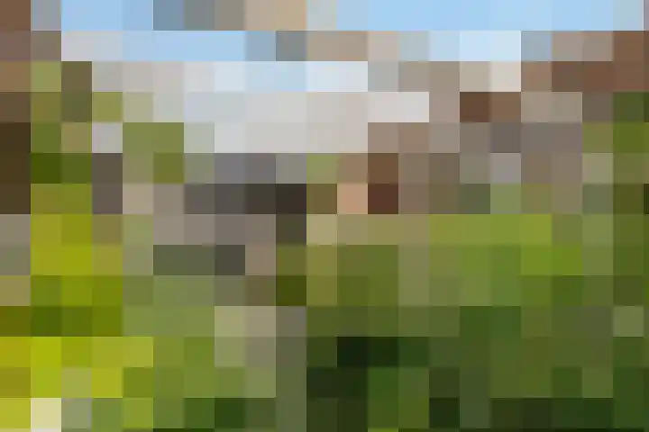 Achter de Hoven 25 Wijhe thumbnail 18