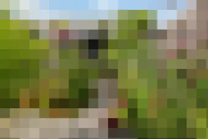 Achter de Hoven 25 Wijhe thumbnail 20