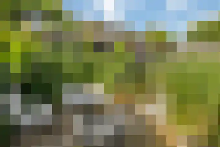 Achter de Hoven 25 Wijhe thumbnail 21