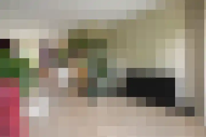 Achter de Hoven 25 Wijhe foto 3