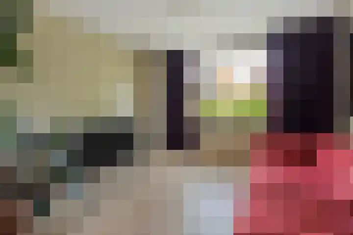 Achter de Hoven 25 Wijhe thumbnail 4