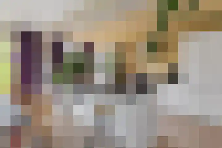 Achter de Hoven 25 Wijhe thumbnail 5